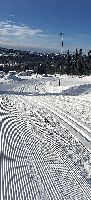 Obraz najlepsze trasy biegowe w Europie