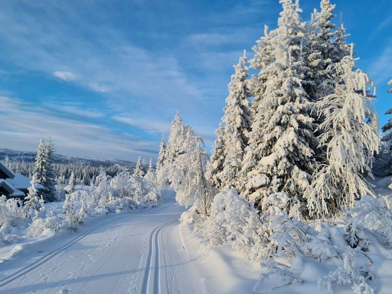 Galeria z kursu łyżwa Norwegia