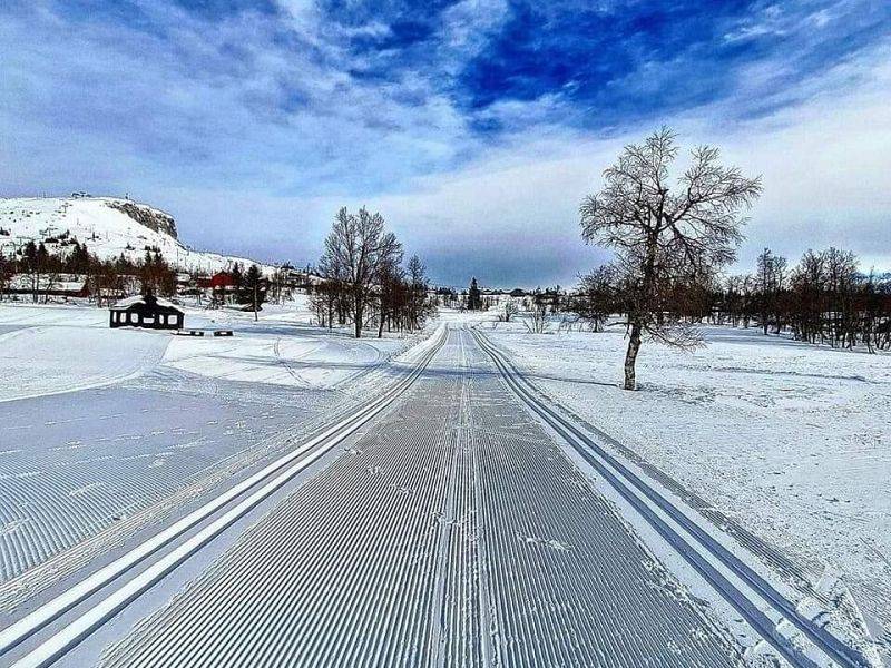 Galeria z kursu łyżwa Norwegia