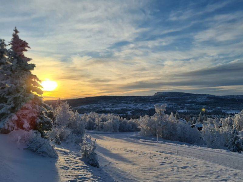 Galeria z kursu łyżwa Norwegia