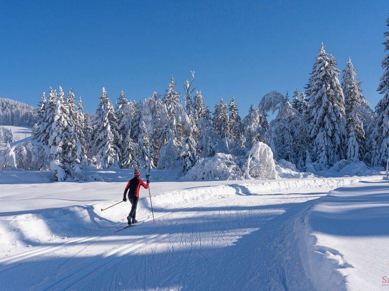 Galeria z kursu łyżwa Norwegia
