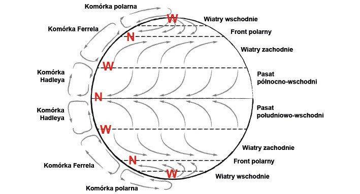 Schemat ogólnej cyrkulacji atmosfery. Strzałki na kuli ziemskiej informują o dominujących kierunkach wiatrów dolnych, czyli przy powierzchni Ziemi. W górnych warstwach troposfery sytuacja jest dokładnie odwrotna