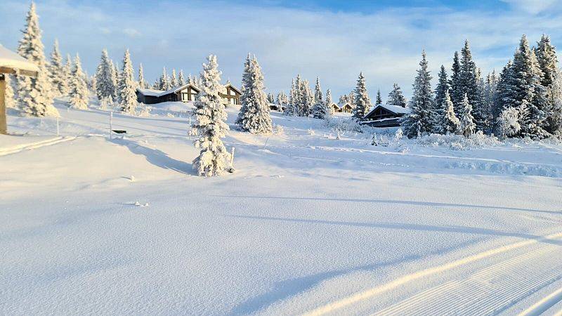 Norwegia